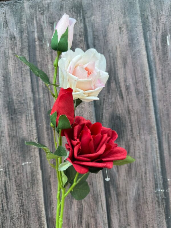 ROSA CON TOQUE REAL - Image 3