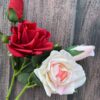 ROSA CON TOQUE REAL - Image 2