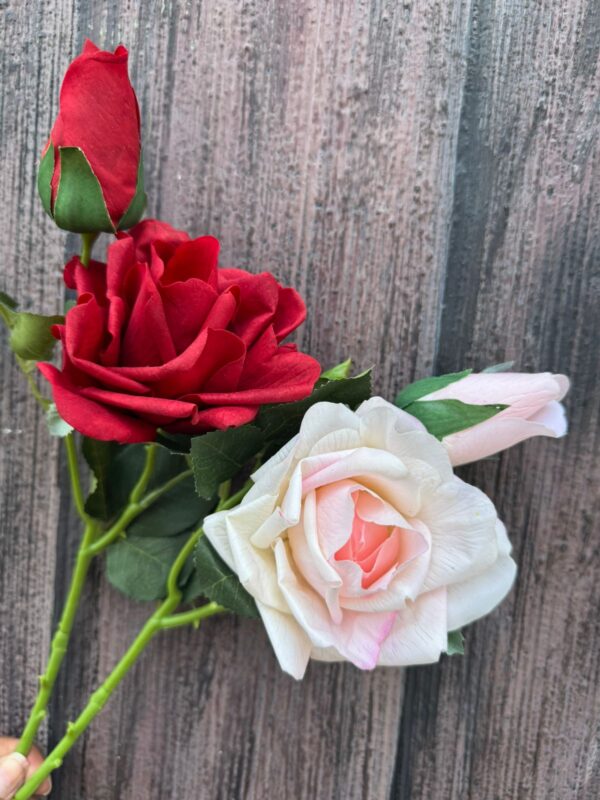 ROSA CON TOQUE REAL - Image 2
