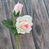 ROSA CON TOQUE REAL - Image 5